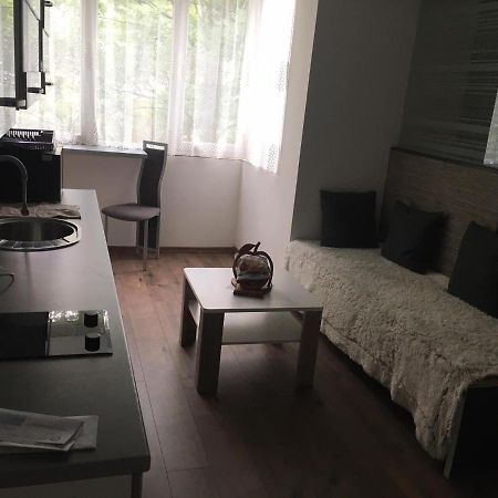 Apartment In The Center Of The Old City, Budzak 14 Sarajevo Exteriör bild