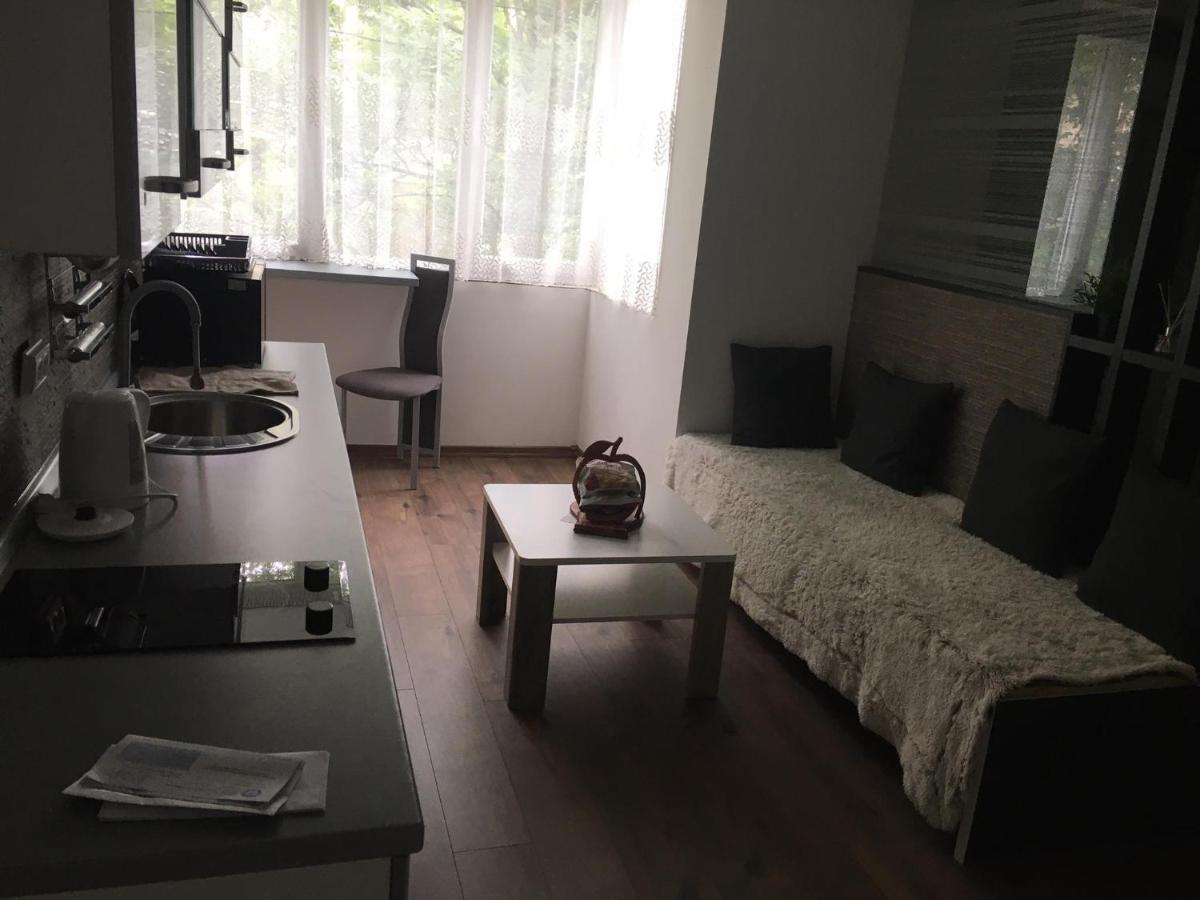 Apartment In The Center Of The Old City, Budzak 14 Sarajevo Exteriör bild